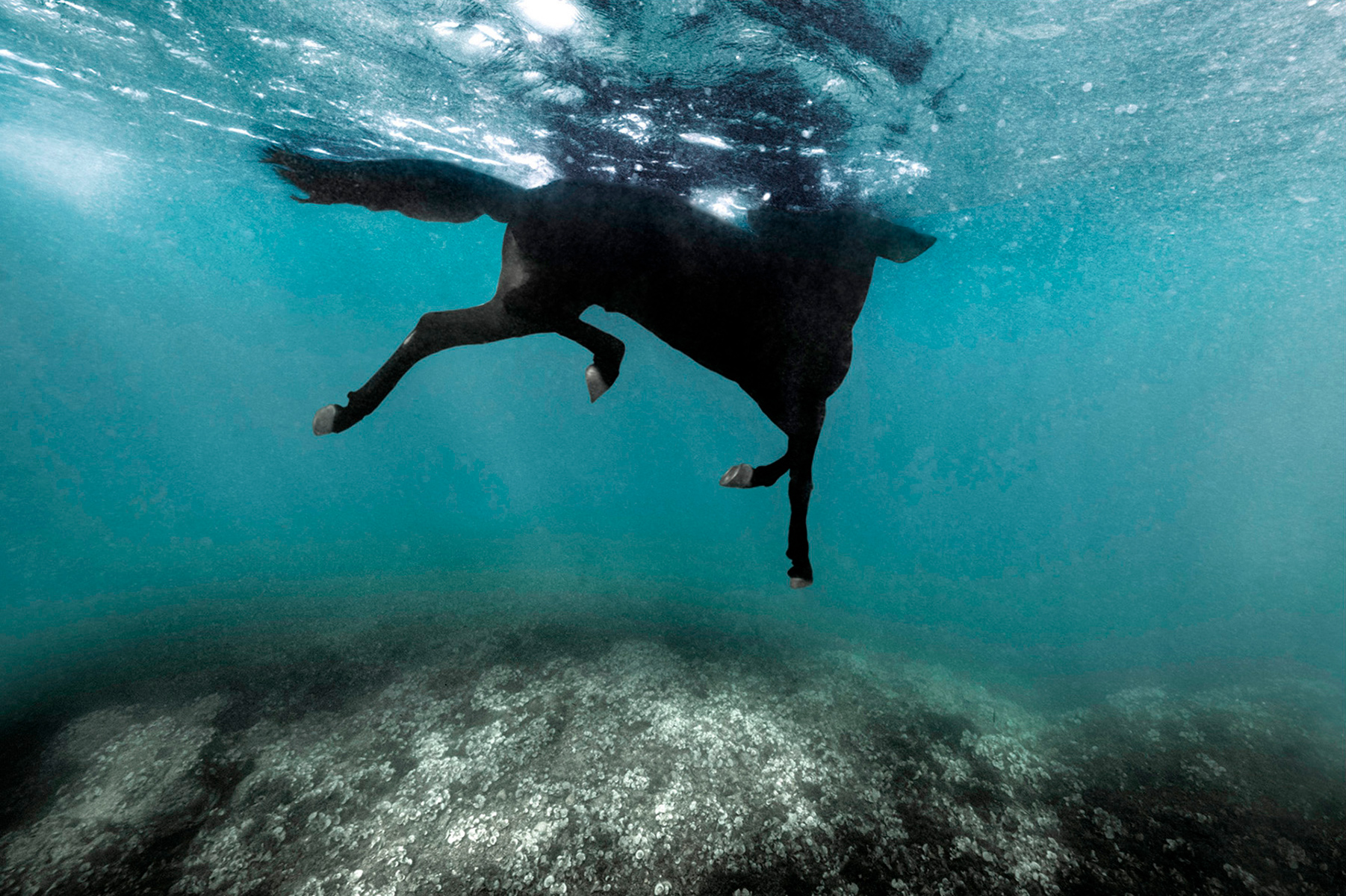 BDF_ponentes_isabel_muñoz_galeria_blog_06